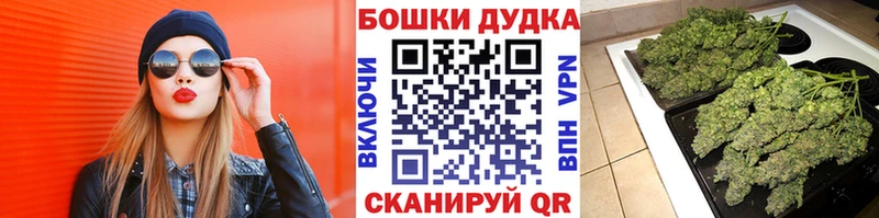 Продажа наркотиков Шлиссельбург Кокаин  ГАШИШ  МАРИХУАНА 