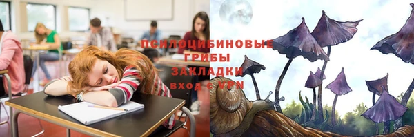 дмт Белокуриха