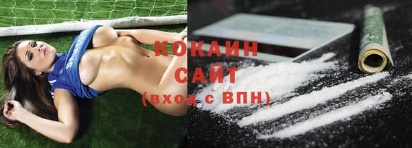 дмт Белокуриха