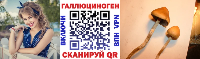 Галлюциногенные грибы Magic Shrooms  магазин продажи наркотиков  Шлиссельбург 